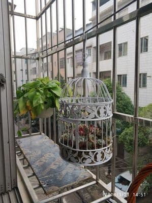 European -style iron decorative bird cage ornaments photography props hotel wedding bird cage decorative bird cage home decoration 4