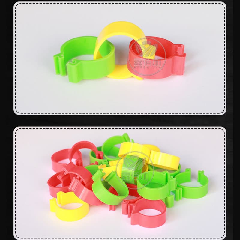 Poultry Leg Band Ring - Chicken, Duck, Goose, Pigeon 4