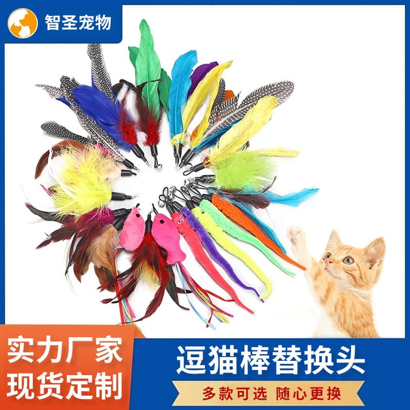 Changeable toy, factory direct supply, cat, pet