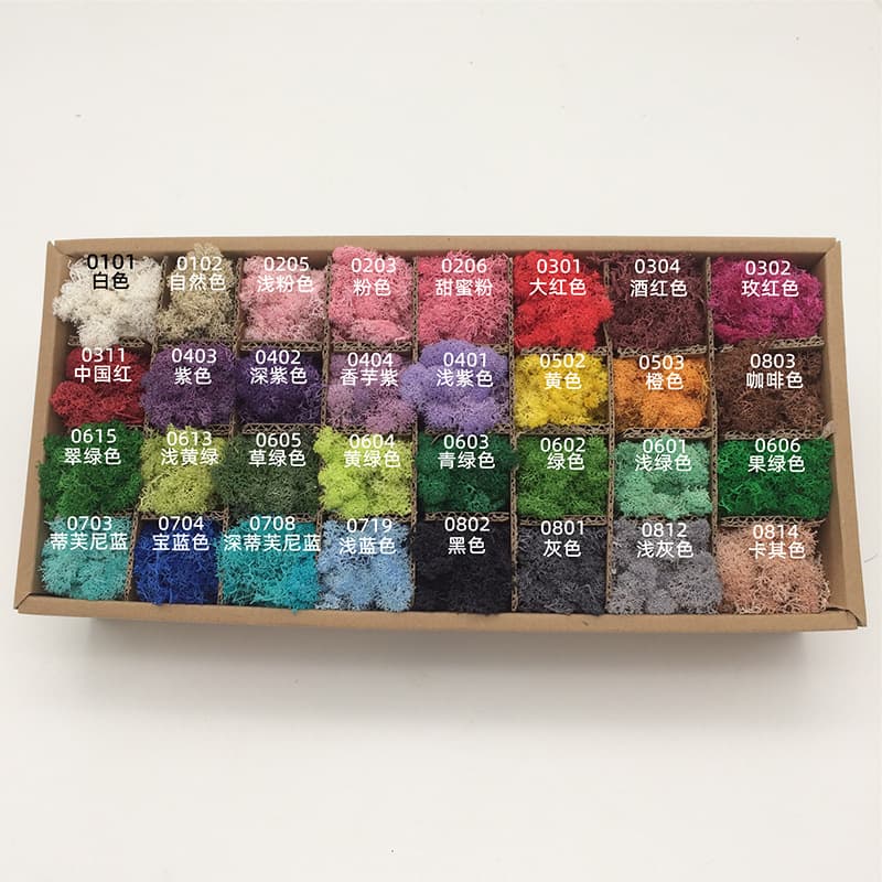Preserved Reindeer Moss DIY Home Decoration Material Kit 1