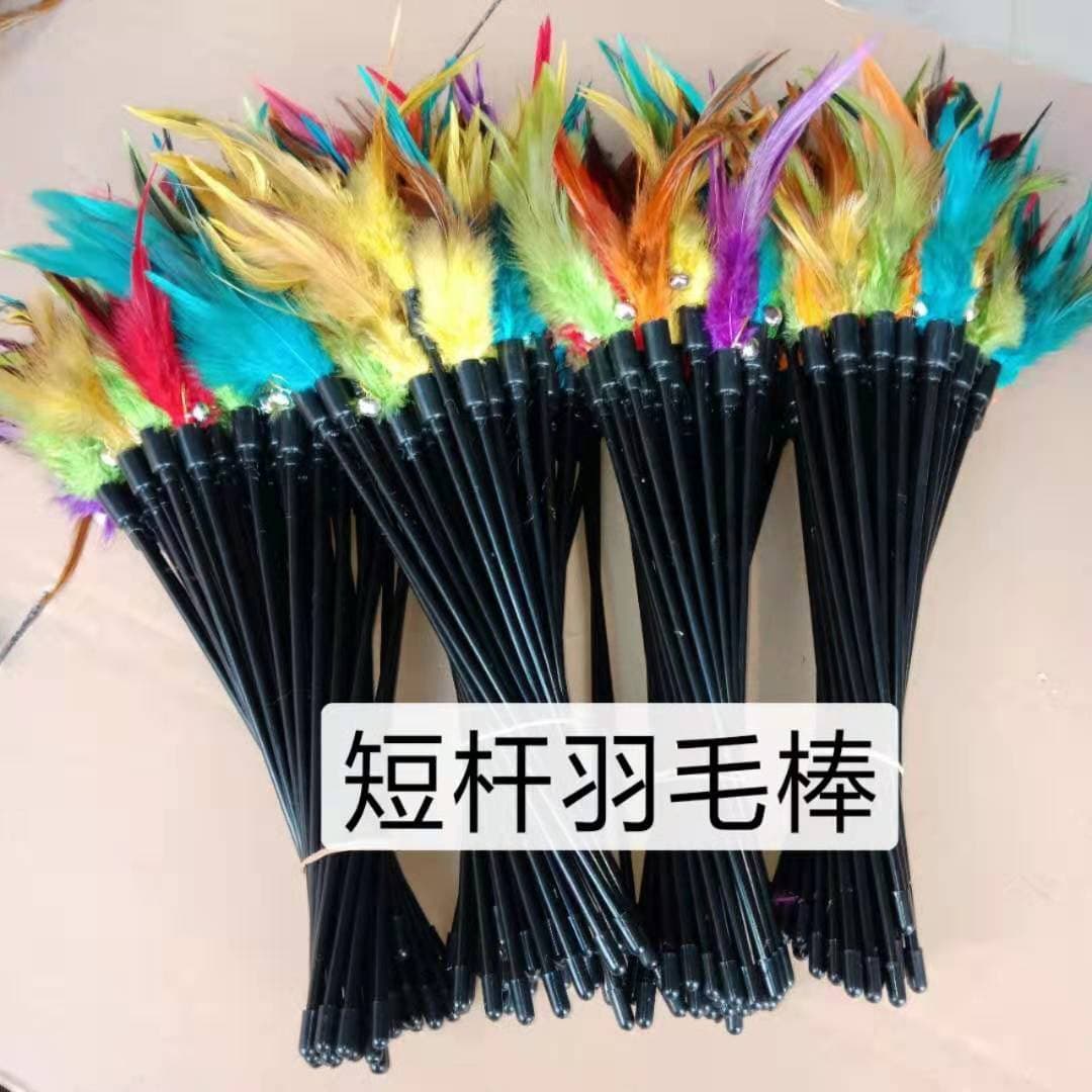 Short Feather Cat Funny Stick Funny Cat Pole Pet Cat Toy Training Funny Cat Bell Cat Hot Selling Kittens 1