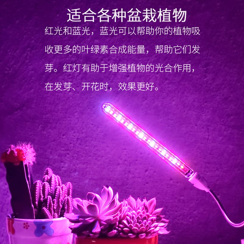 Simple LED plant lamp, fill light, table lamp 3