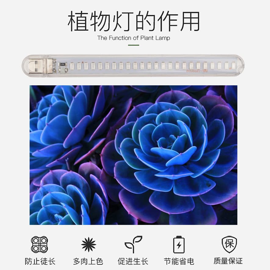 Simple LED plant lamp, fill light, table lamp 4
