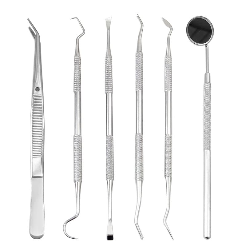 Stainless steel dentist tool set Dental oral cleaning tool endoscopic dental dental dental dental dental dental dental 5