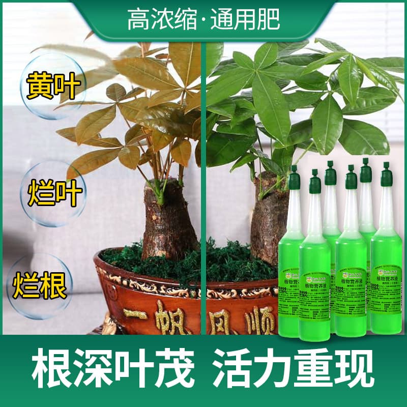 德沃多 Plant nutrient solution universal green leafy flower succulent branch liquid fertilizer hydroponic nutrient solution 2