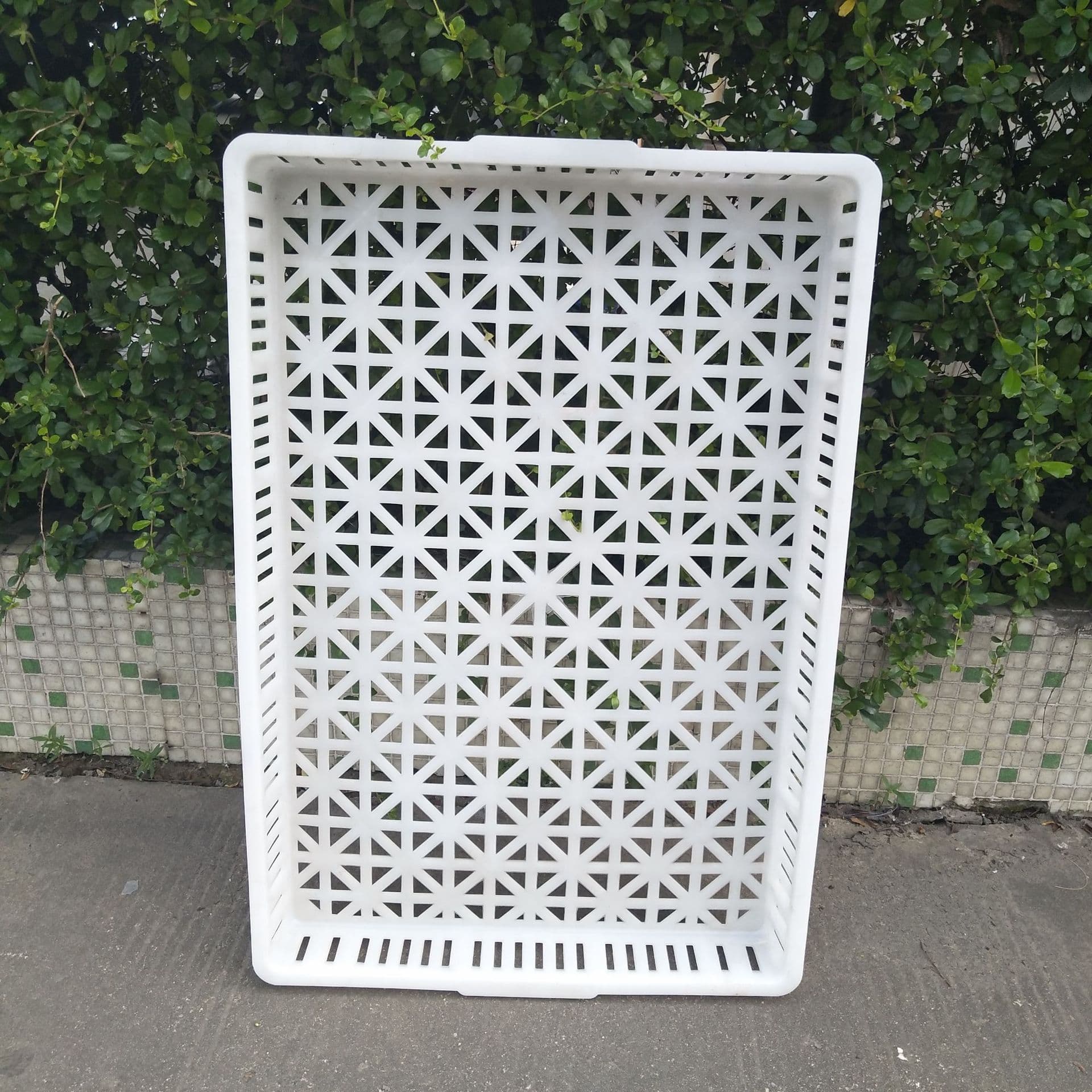 Single freezer freezing basket drying tray aquatic seafood cold storage quick-frozen shallow basket food grade white tray thickened 8