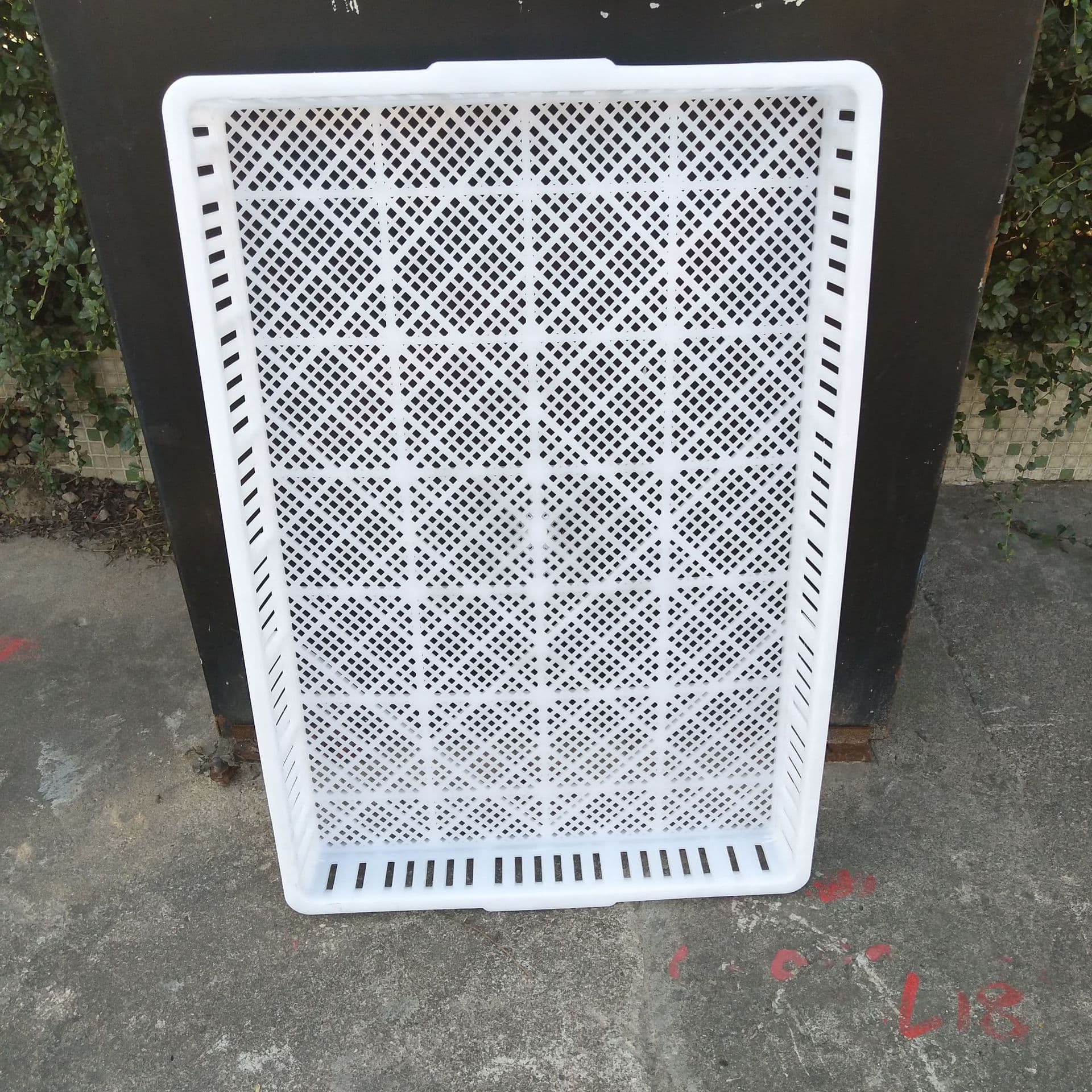 Single freezer freezing basket drying tray aquatic seafood cold storage quick-frozen shallow basket food grade white tray thickened 9