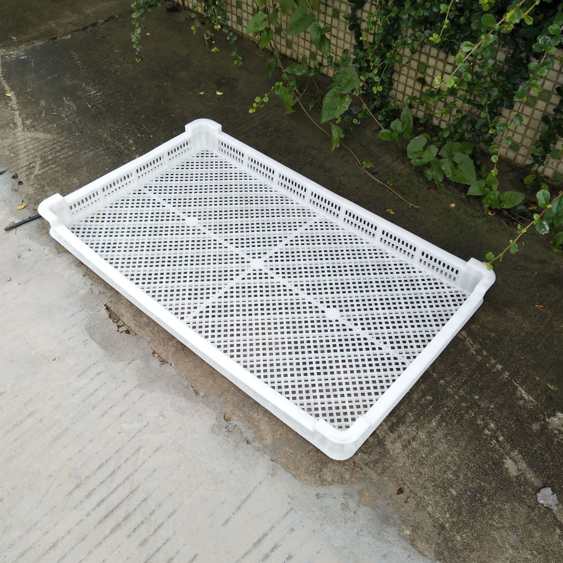 Single freezer freezing basket drying tray aquatic seafood cold storage quick-frozen shallow basket food grade white tray thickened 10