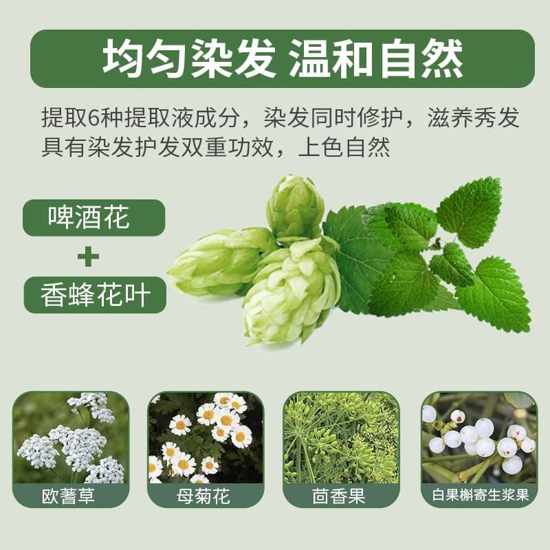 Japanese fast hair cream, medical hair dye for gray hair, direct factory sales 4