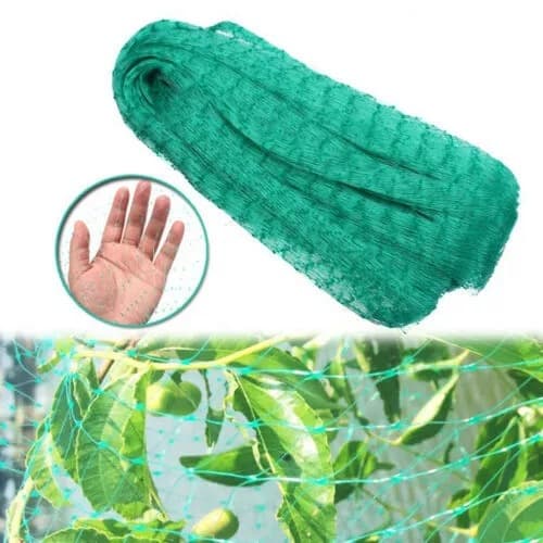 Anti -Bird Network Garden Garden Fruit Garden Anti -Bird Network Polyetry Bird Fang Bird Facting Web Capsule Grape Green Anti -Bird Network