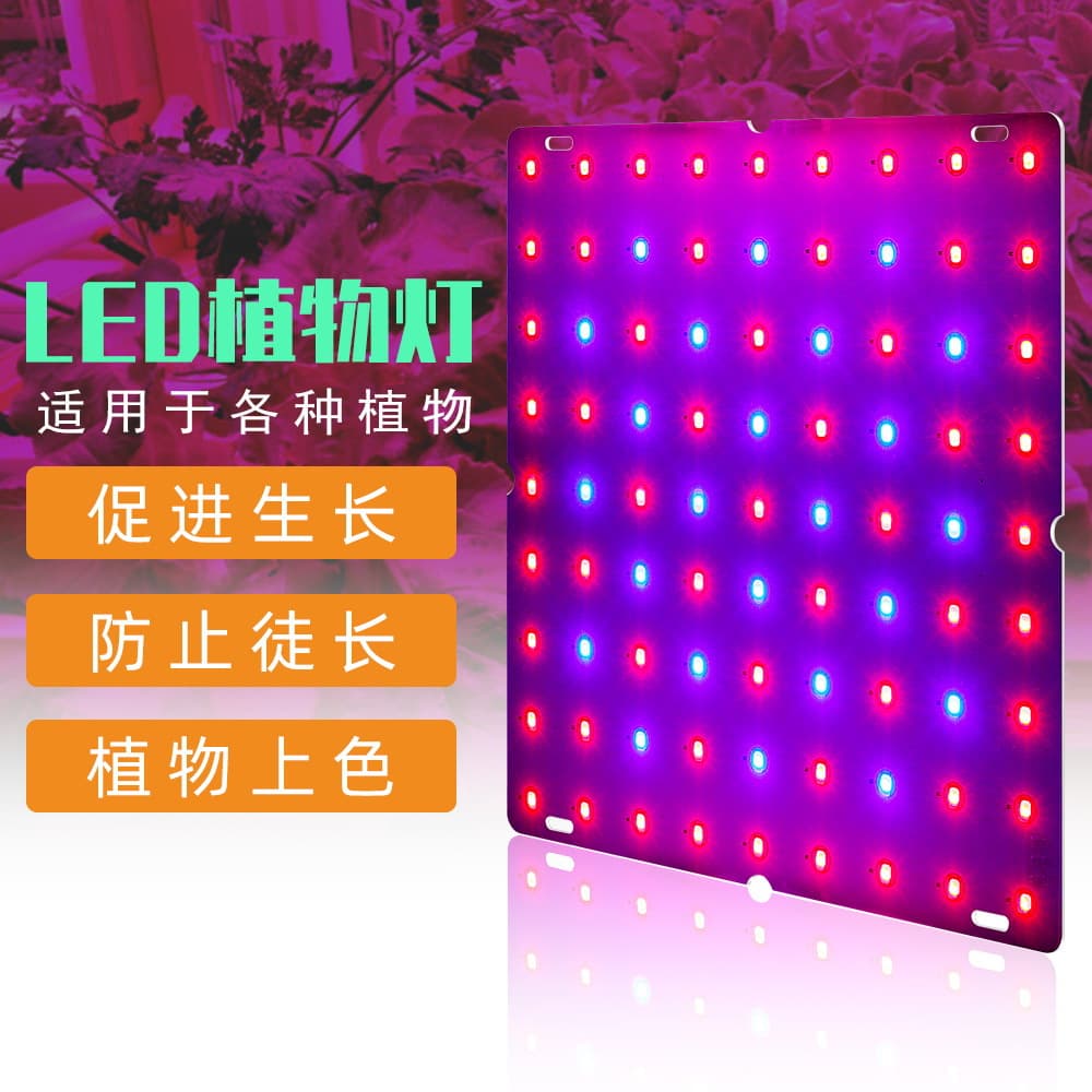Humble LED Quantum Plant Lamp with Comfortable Light Spectrum 1