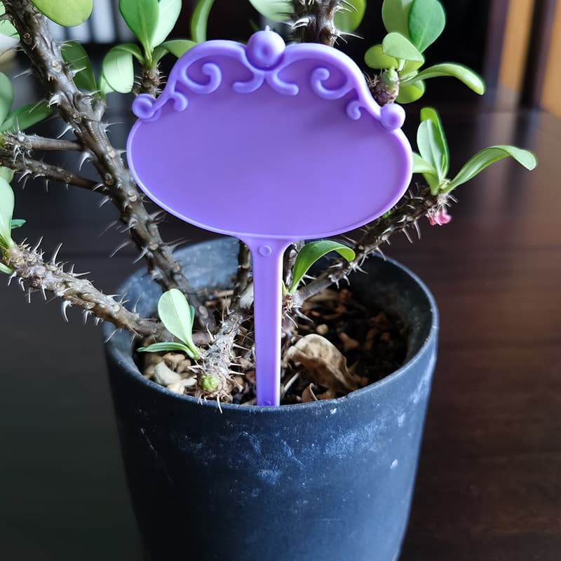 Thicked gardening flower label plant label multi -meat plastic label flower brand gardening label cross -border supply 4