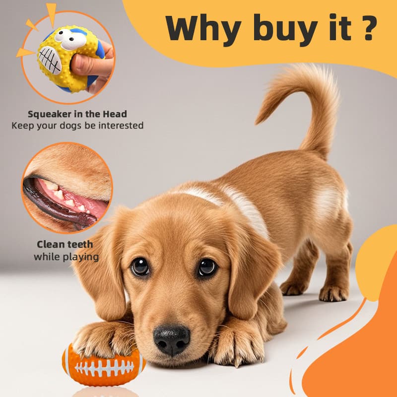 Interactive Pet Training Toy with Sound 3