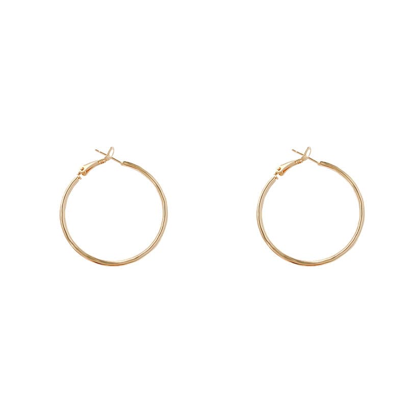 Brand universal hoop earrings, European style, silver 925 sample, internet celebrity 5