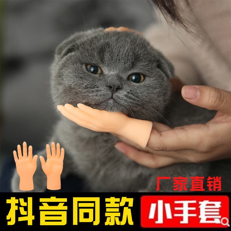 Toy, plastic creative gloves, hands model, pet 2