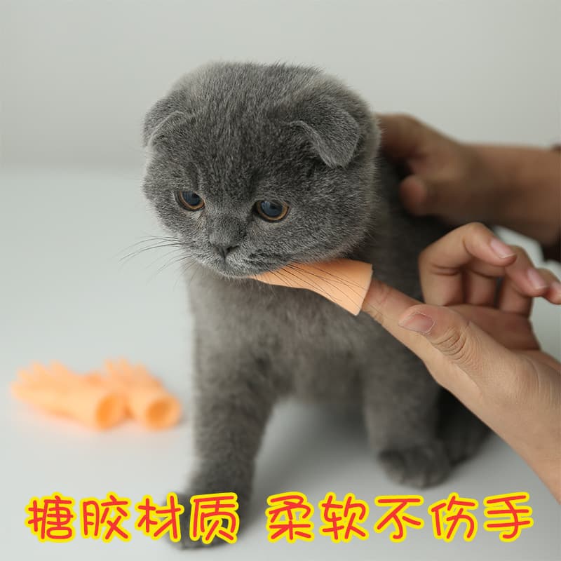 Toy, plastic creative gloves, hands model, pet 3