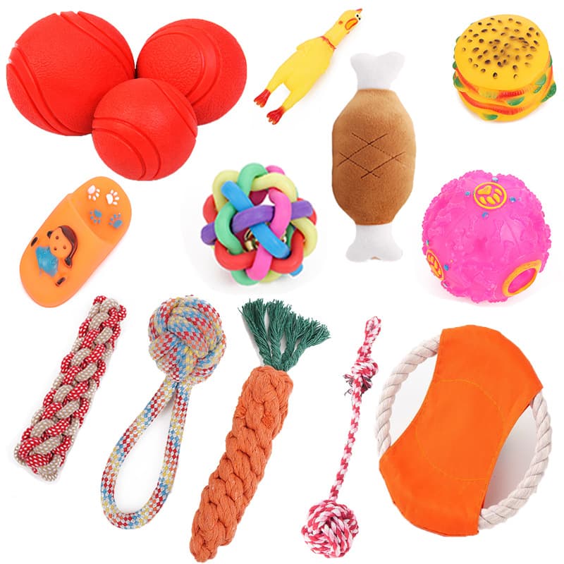Toy, carrot frisbee, pet 2
