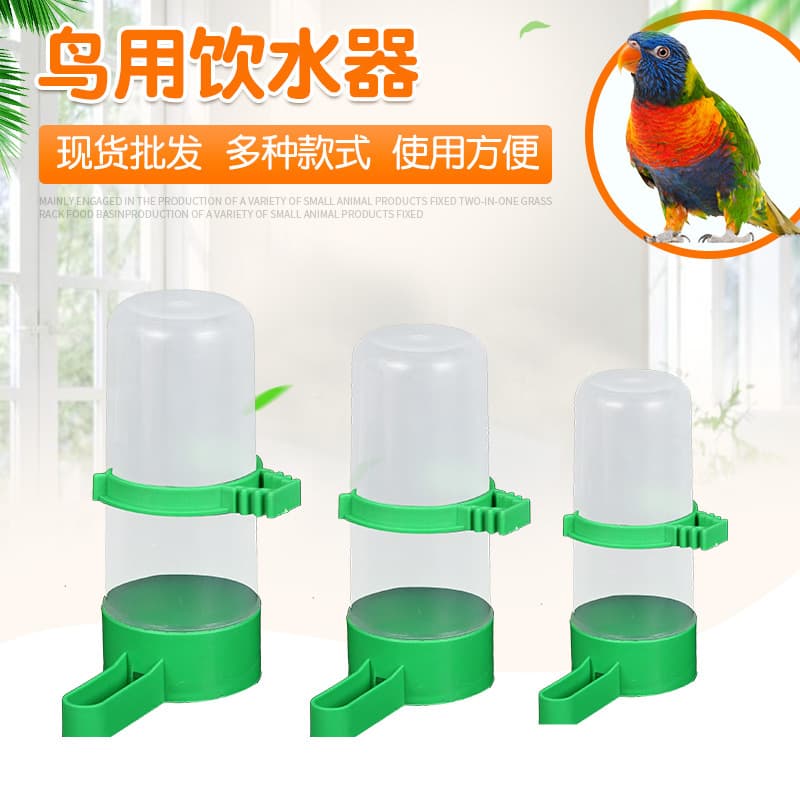 Factory wholesale pet bird bird drinking heater large bird supplies available parrot feed water feeder pet supplies 1