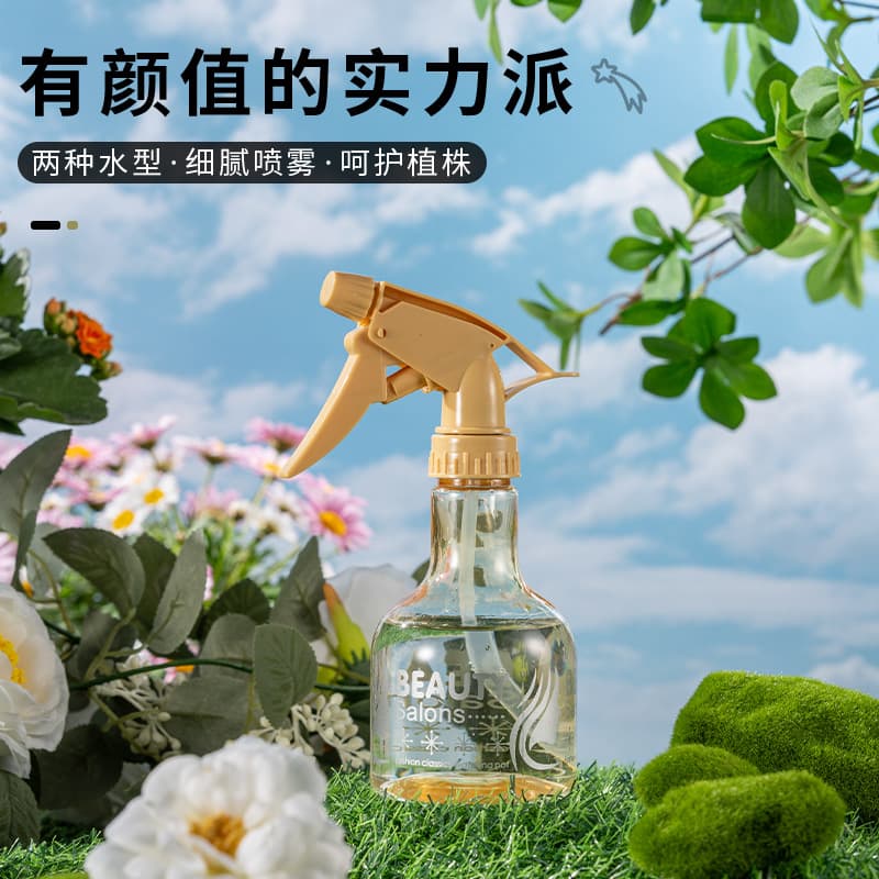 Disinfectant spray, sprayer, teapot, electrospray, 250 ml 3