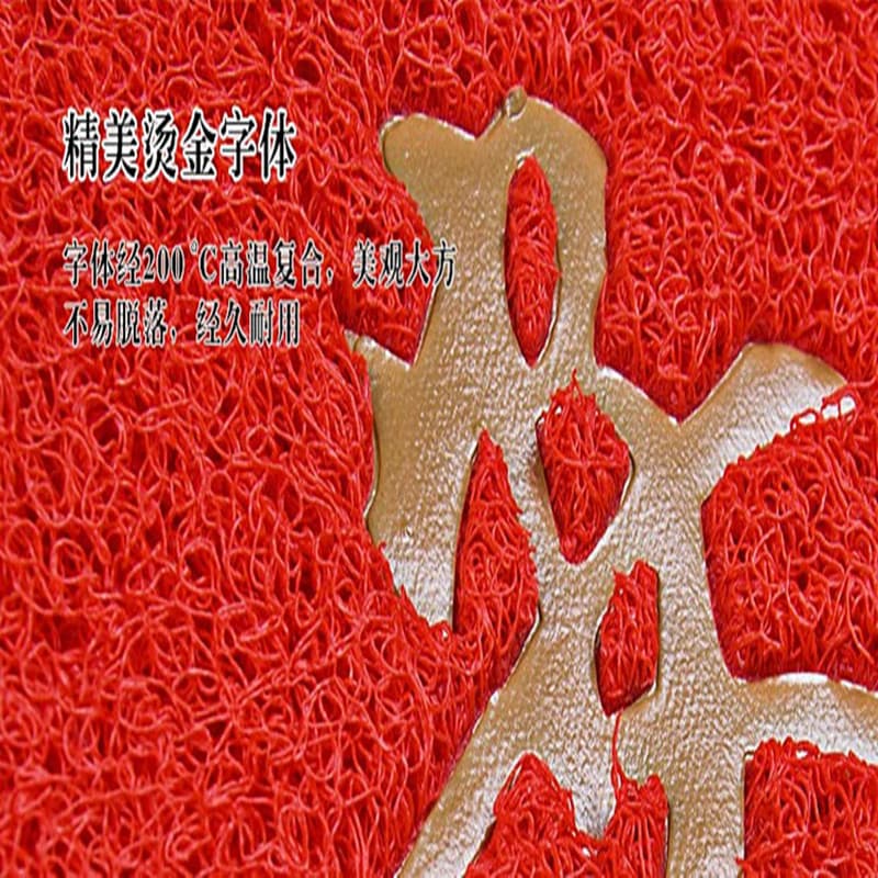 Doormat PVC, protective amulet, non-slip carpet, increased thickness 5