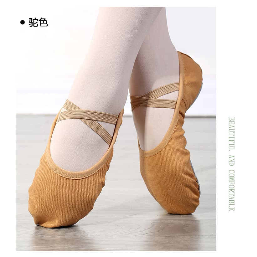 Dance shoes are free of charge with pine tightly daughter soft bottom practice shoe room, indoor shape yoga cat claw dance shoes wholesale 3