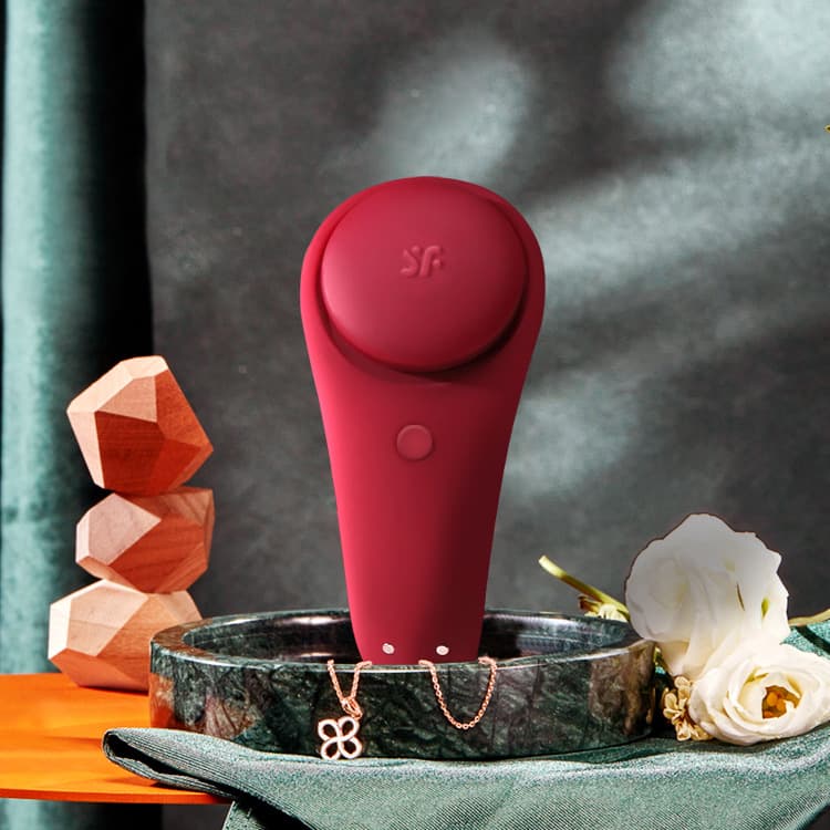 SatisFyer sexy secret sexy secret female app remote control wearing jumping egg adult products 2