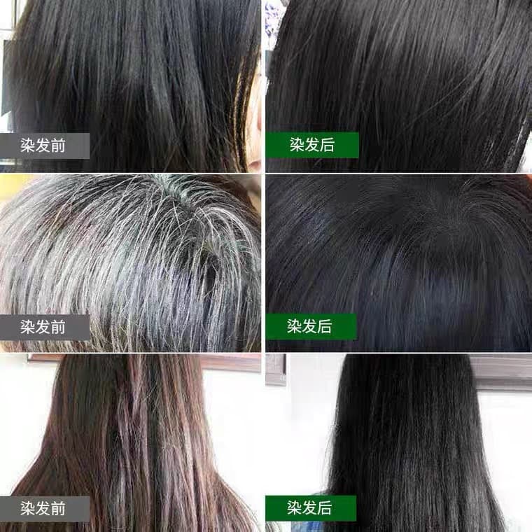 Source Xinzi, combed black color dye cream Plants covering white hair, a black foam ammonia -free hair dye 4