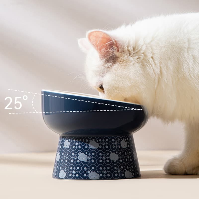 Japanese and wind ceramic cat bowl double bowl of potted bowl bowl cats drink water bowl to protect cervical cervical cat drinking water pet supplies 2