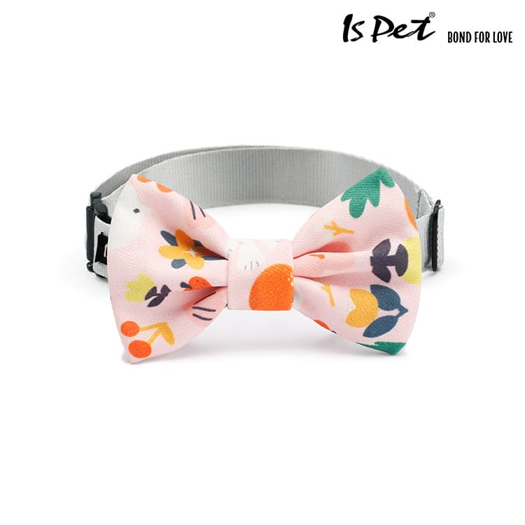 ISPET Wow factor pet cat, rabbit and mouse bow tie single layer bow tie with bow necklace BA0082