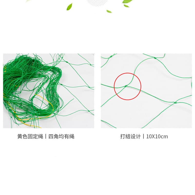 Climbing net, passion fruit, grape plant, climbing melon, fruit vine, flower, nylon net, bean holding vine, frame net, green plant 4