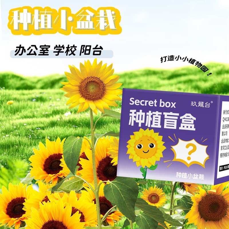 DIY planting blind box flower plant potted gift desktop green plant green plant canned net red plant blind box seeds 2