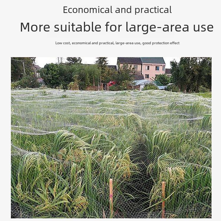 Cross -border polyethylene PE Orchard Fire Bird Network Green Court Balcony Flower Transparent Protective Birds Network Bird Net 4
