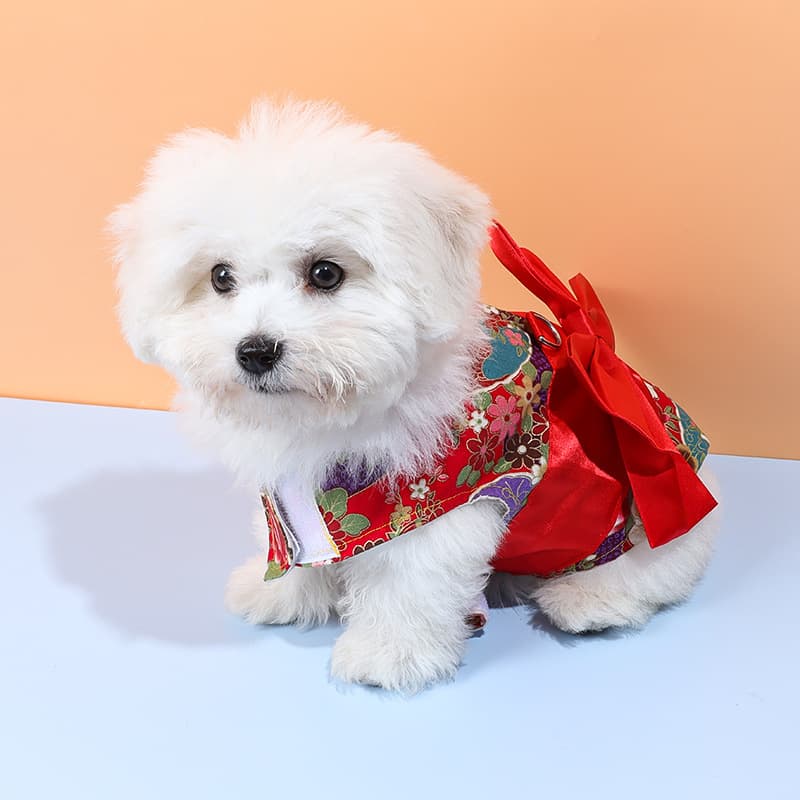 Anti-breaking dog chest strap Teddy Pomeranian dog leash out walking dog leash adjustable dog leash 3