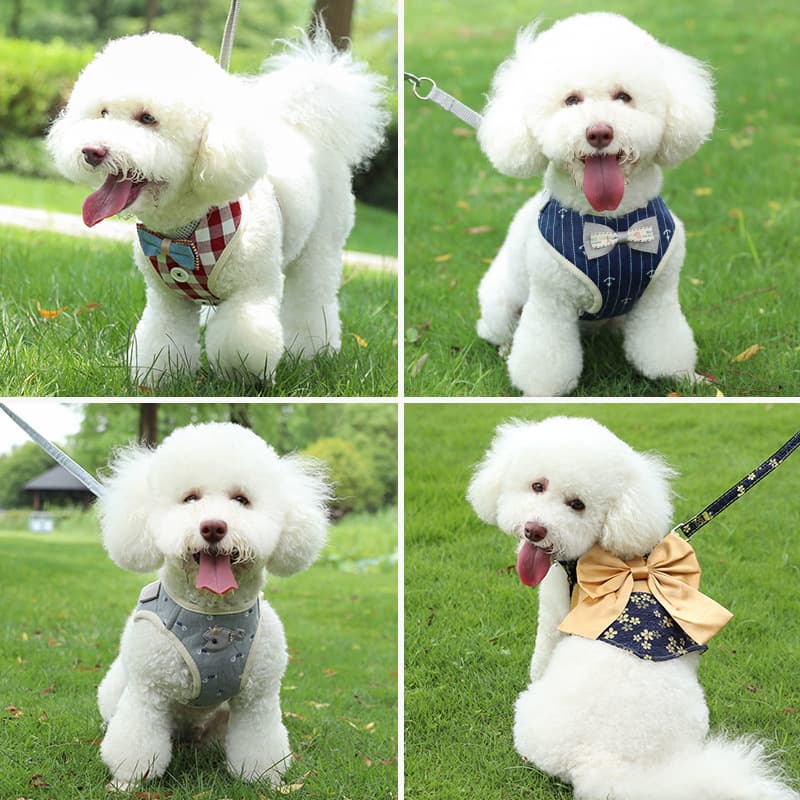 Anti-breaking dog chest strap Teddy Pomeranian dog leash out walking dog leash adjustable dog leash