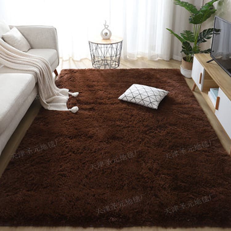 (Cross-border trading), non-slip carpet for living room, simple and elegant design 3