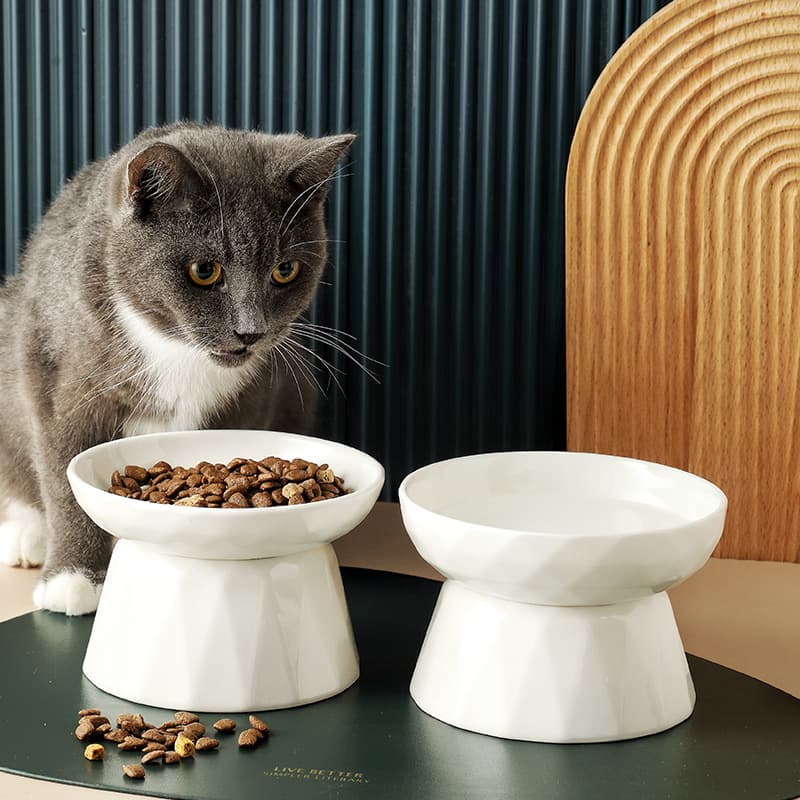 Pet supplies Ceramic high-foot slow-food bowl protection spine water bowl cat bowl food bowl cat food bowl ceramic bowl cat 2