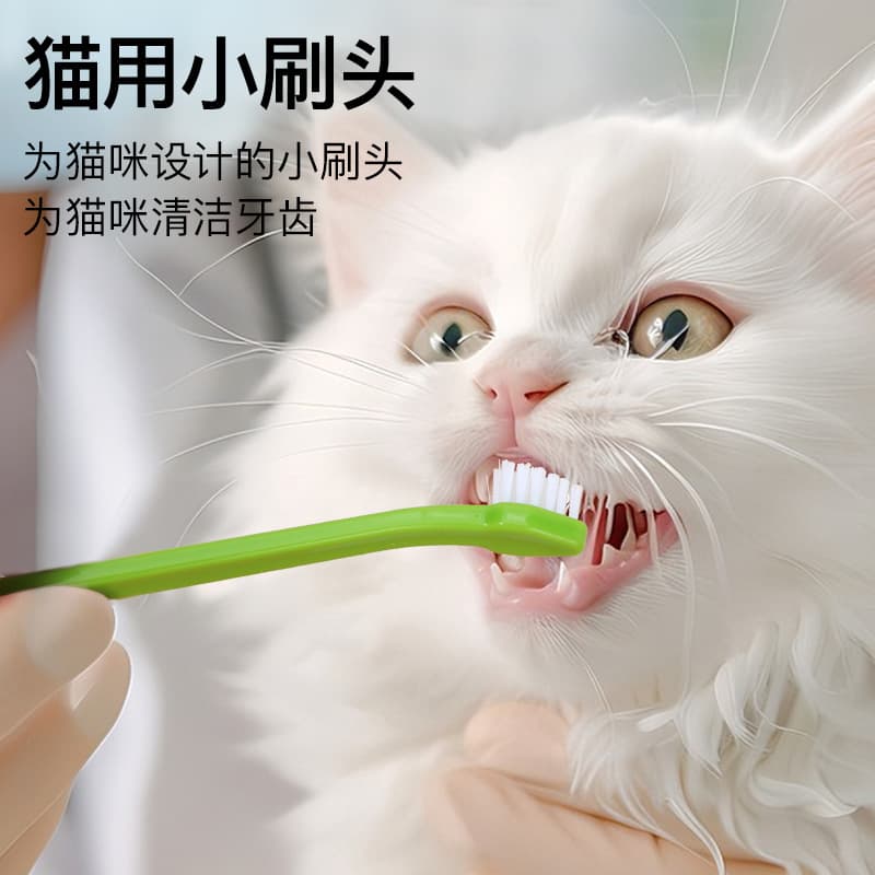 Toothbrush, oral care 2