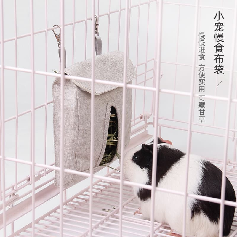 Treasure Pet Dorch Slowly Eats and takes self -food bags. 2