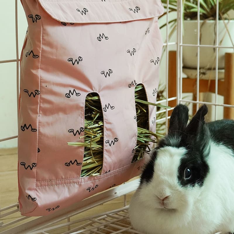 Treasure Pet Dorch Slowly Eats and takes self -food bags. 3