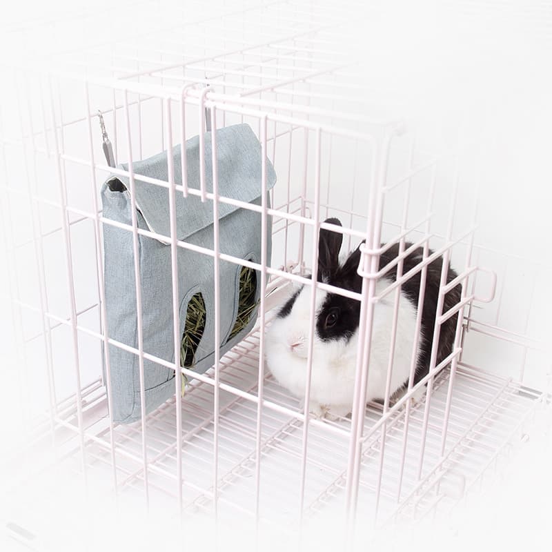 Treasure Pet Dorch Slowly Eats and takes self -food bags. 1