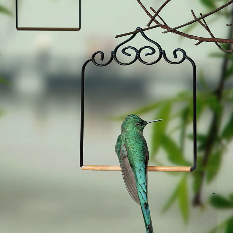 Portable bird rack cage cage stand platform small living bird training bird frame supplies parrot stand rack station rack and bird frame station 3