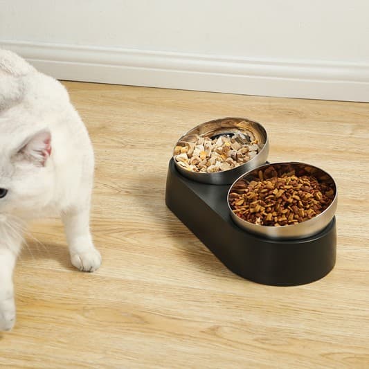 Pet feeding bowl dog stainless steel feeder cat drinking water heater eating pot cat feed bowl pet cat bowl 3