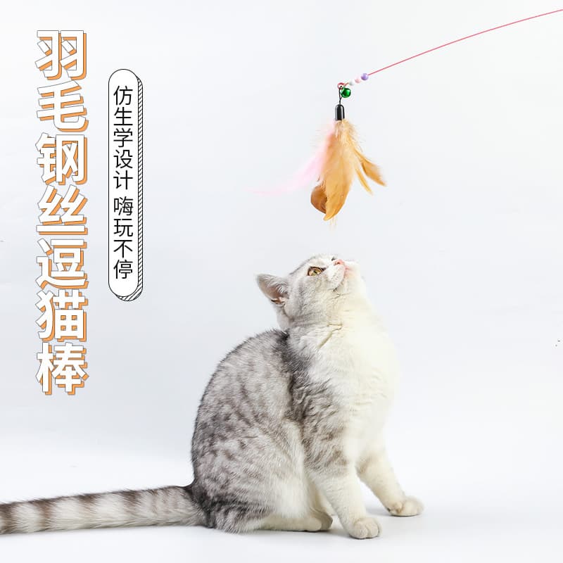 Changeable steel wire, toy, (Physicals), pet, cat 2