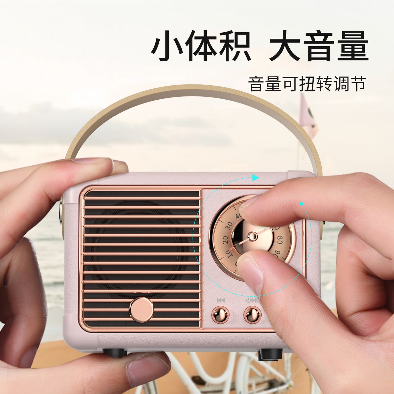 Handheld speakers, bluetooth, Birthday gift 2