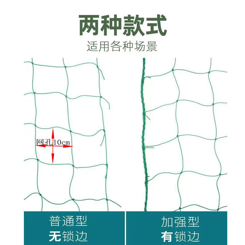 Plant climbing vine net green gardener network flower grid network bracket network chrysanthemum celery celery lily anti -wind resistance network 4