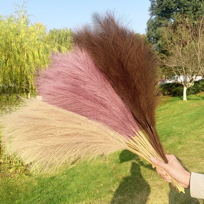 Artificial Panpas grass small dried grass reed simulation flower plant home decoration wedding party rabbit tail grass flower 2