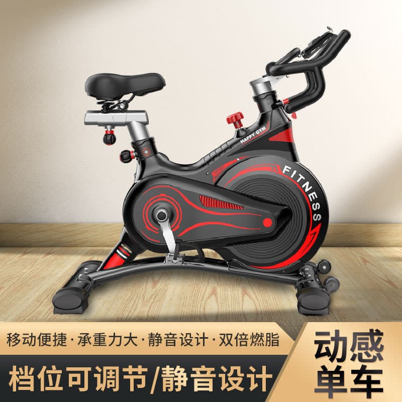 Dynamic bike for gym for cycling pedalled 1