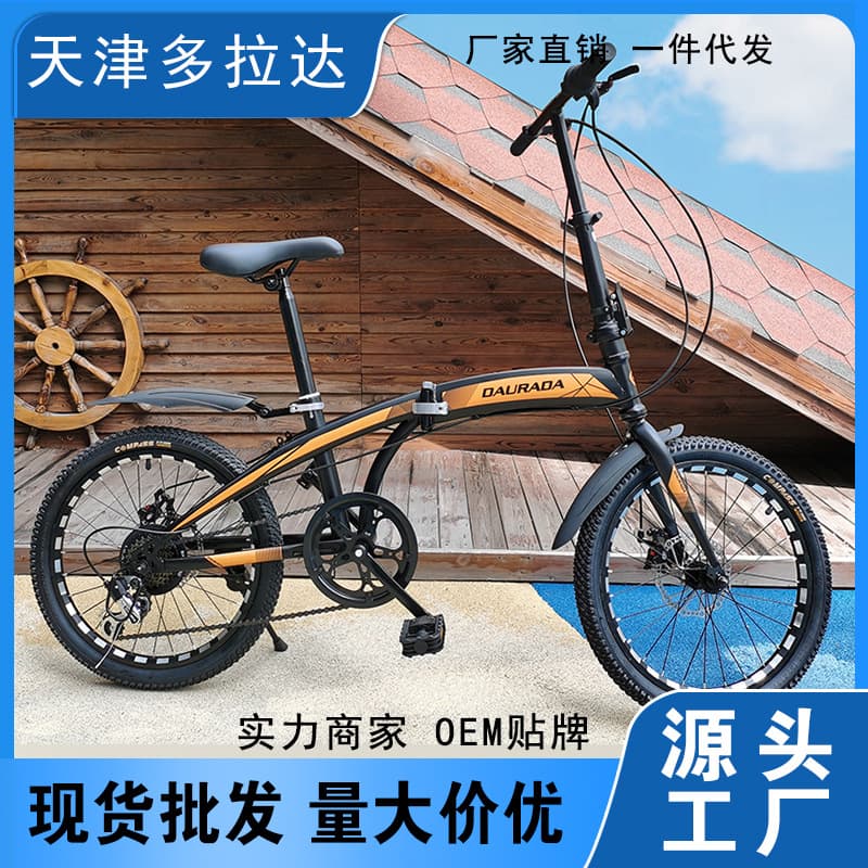 20 Inch Folding Mountain Bike with Disc Brake 1