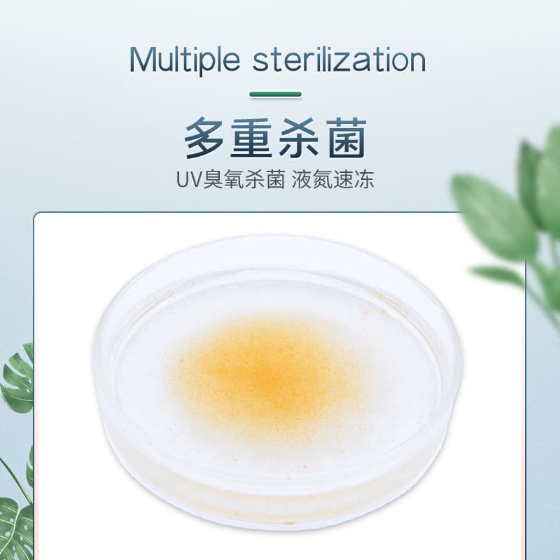 [Langhua Factory] Frozen water flea jumping worm small tropical fish food frozen fish insects and mobs of fishstap fish 2