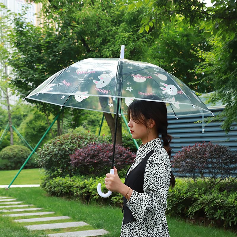 Cartoon children's fresh umbrella with animals, Korean style, for beloved 7